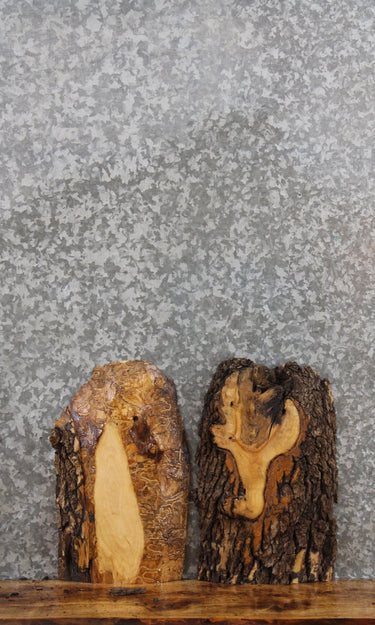 2- Ash Natural Edge Charcuterie Board/Taxidermy Slab CLOSEOUT 257-258